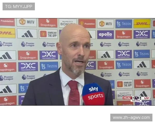 英超中游球队球员收入水平及其竞技影响 英超中游球队球员收入水平及其竞技影响